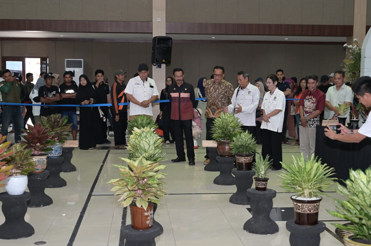 Kontes Nasional Aglaonema di Malang: Ketelatenan Jadi Kunci Keindahan Daun